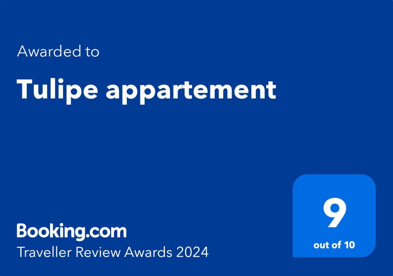 Tulipe Appartement Oran Exteriér fotografie